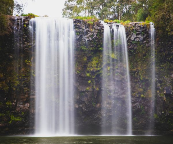 Dangar Falls, Dorrigo National Park NSW