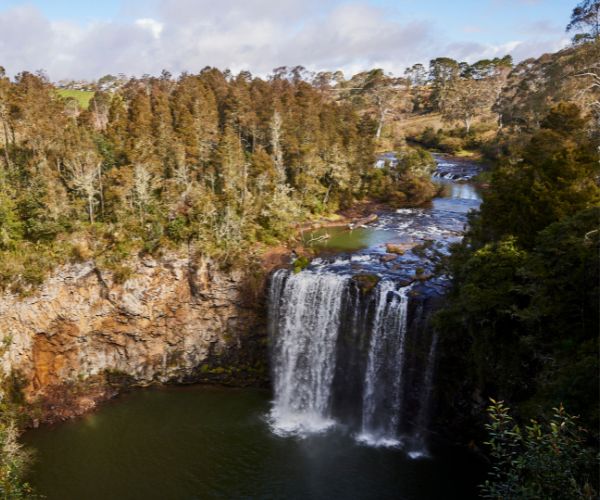 Dangar Falls, Dorrigo National Park NSW