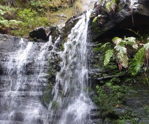 Fairy Bower Falls, Morton National Park