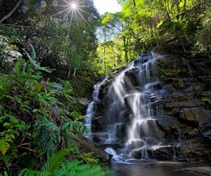 Sylvia Falls, Blue Mountains