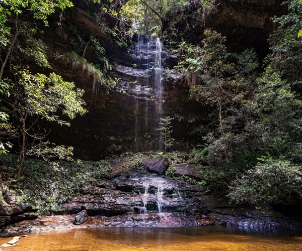 Water Nymphs Dell, Blue Mountains