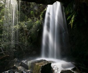 Winifred Falls, Royal National Park